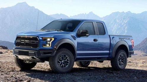 国产猛禽视频播放,震撼视频背后的故事