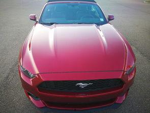 国产福特野马越野视频