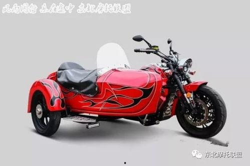 国产大菲鹰边三轮视频,驾驭激情，驰骋天地