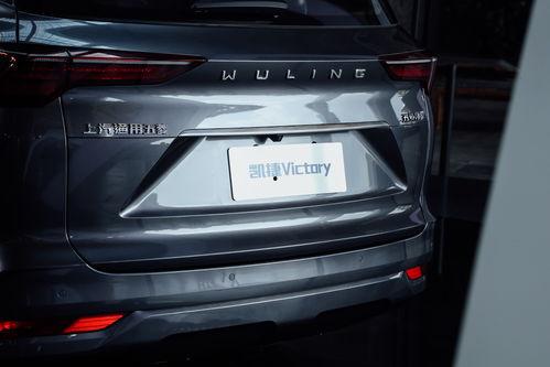 新国产车发布最新信息视频