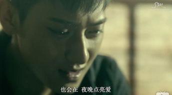 国产用来拍视频的音乐