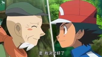 国产动画片变身视频合集,精彩视频合集回顾